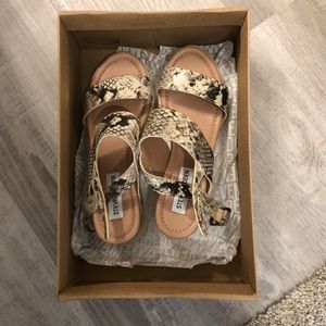 Steve Madden snake skin sandal